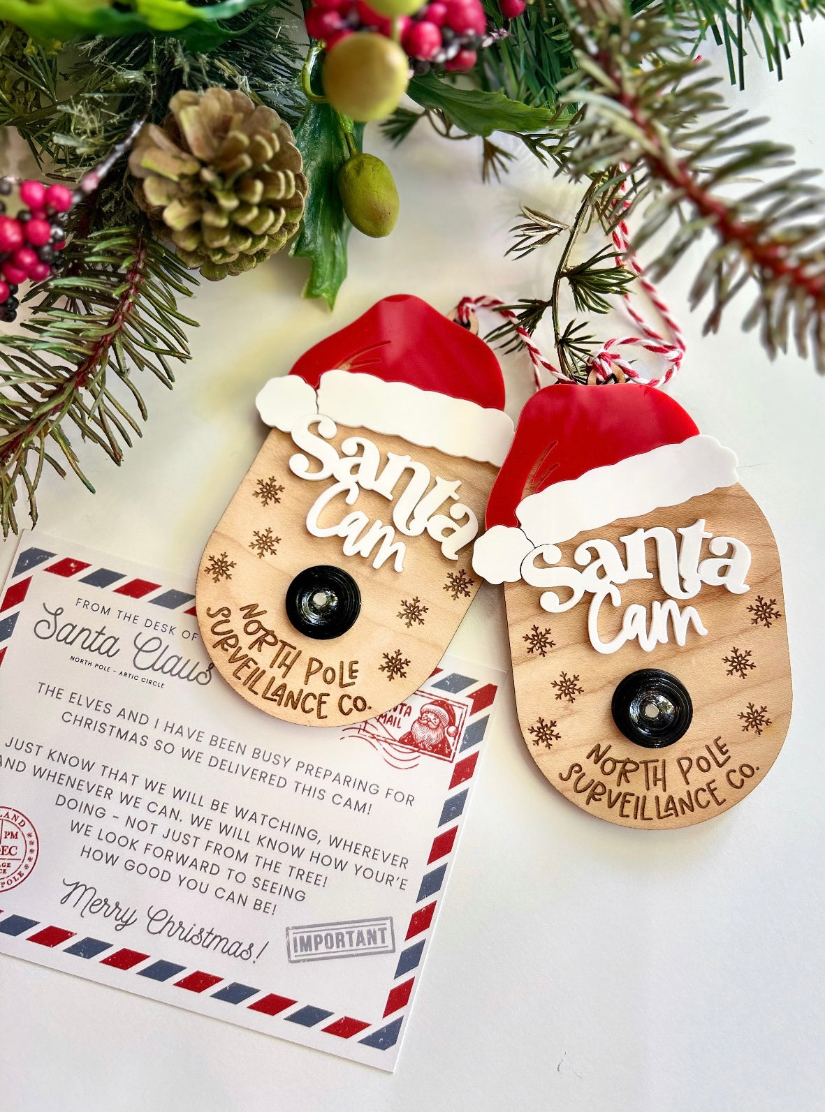 Santa Cam