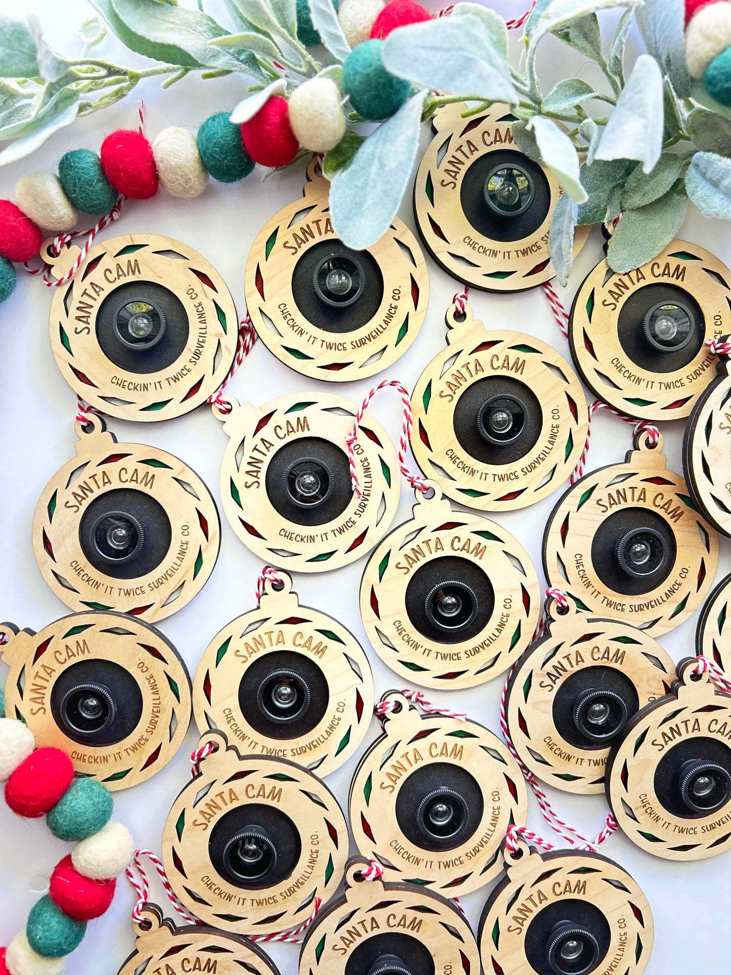 Santa Cam